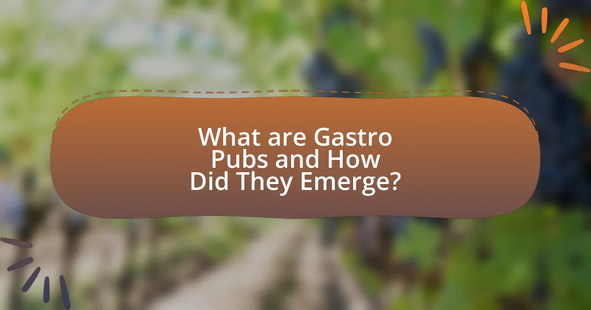 What are Gastro Pubs and How Did They Emerge?