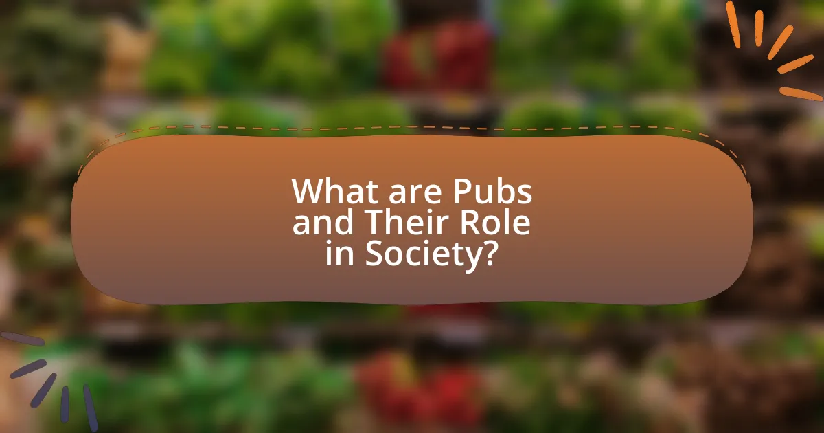 What are Pubs and Their Role in Society?