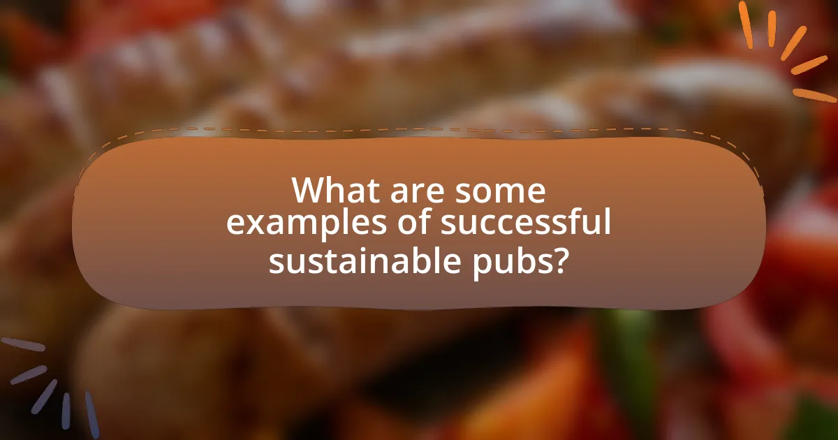 What are some examples of successful sustainable pubs?