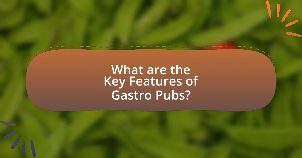 What are the Key Features of Gastro Pubs?