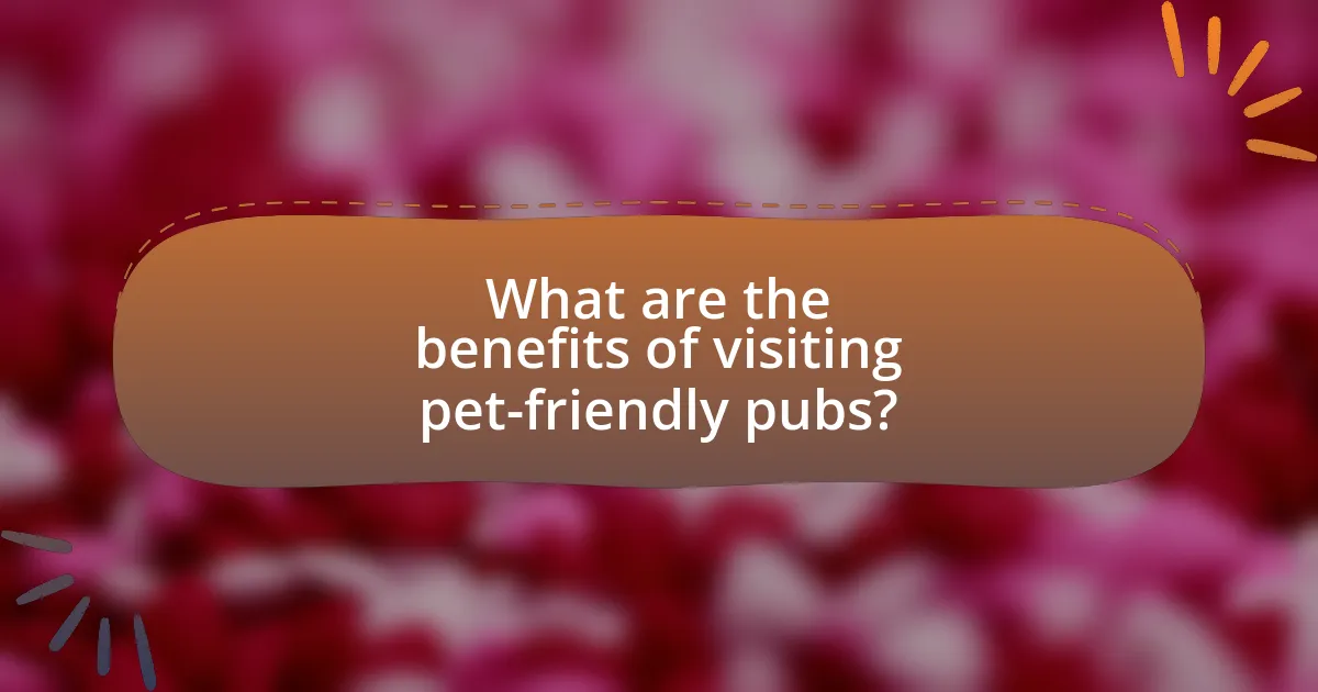 What are the benefits of visiting pet-friendly pubs?