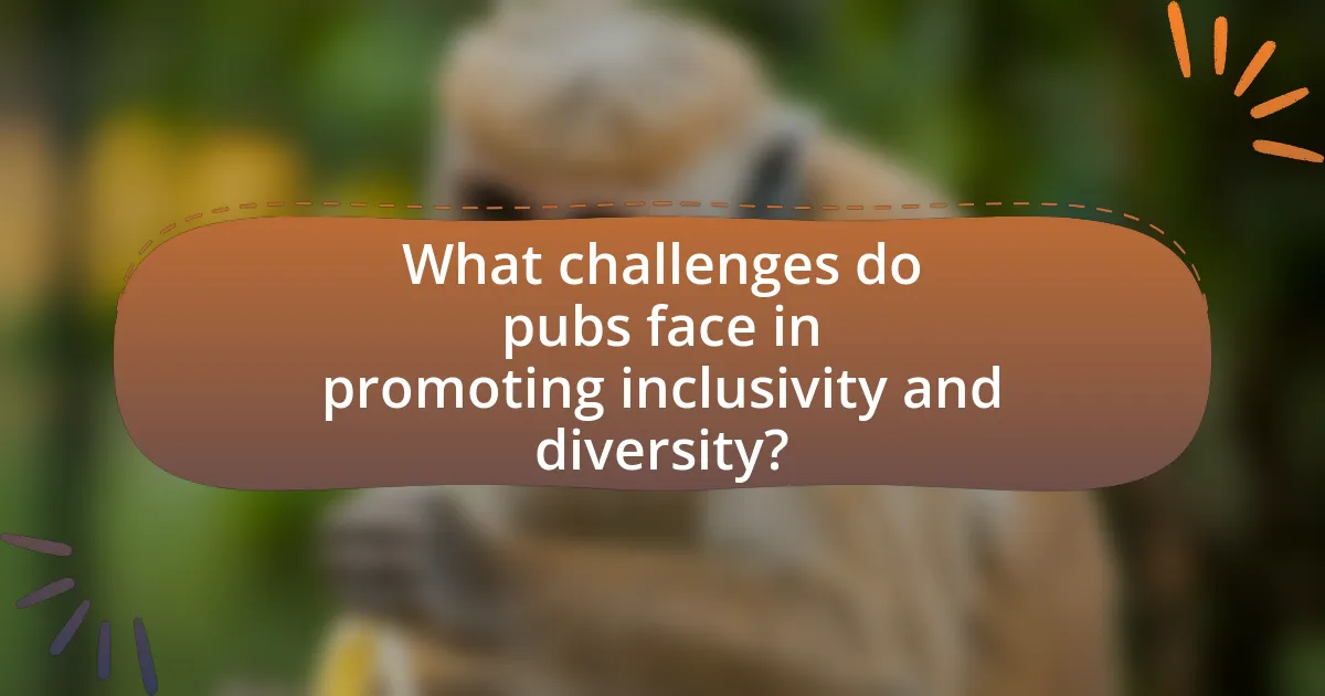What challenges do pubs face in promoting inclusivity and diversity?