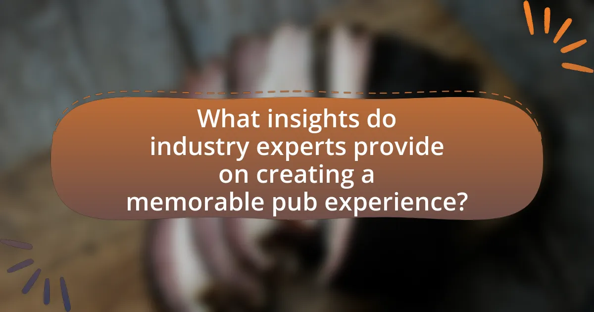 What insights do industry experts provide on creating a memorable pub experience?