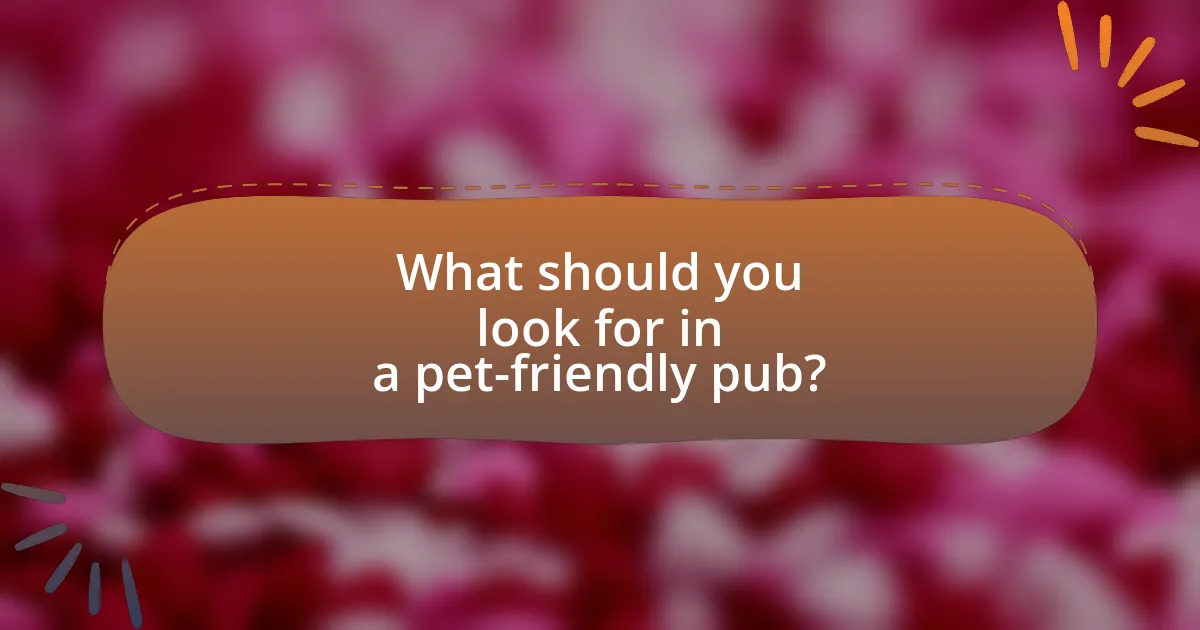 What should you look for in a pet-friendly pub?